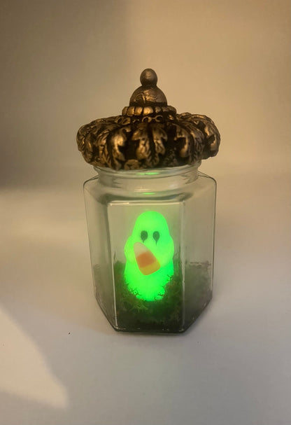 Pet ghost jars