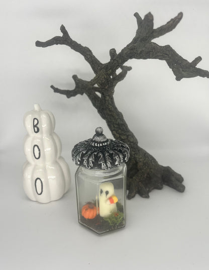 Pet ghost jars