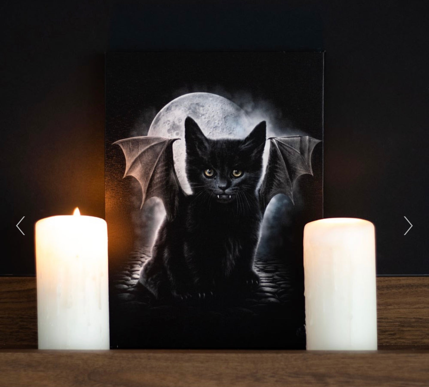 BAT CAT CANVAS PLAQUE BY SPIRAL DIRECT