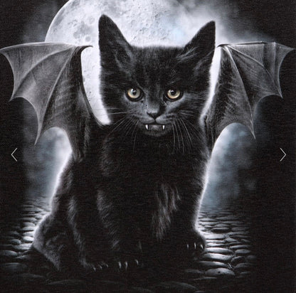 BAT CAT CANVAS PLAQUE BY SPIRAL DIRECT