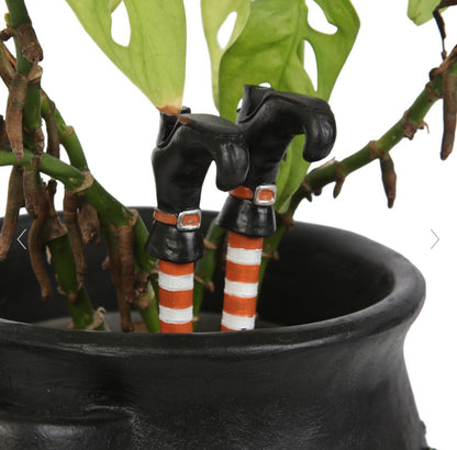 SET OF 2 WITCH LEG PLANT POT ORNAMENTS