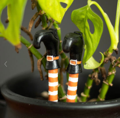 SET OF 2 WITCH LEG PLANT POT ORNAMENTS