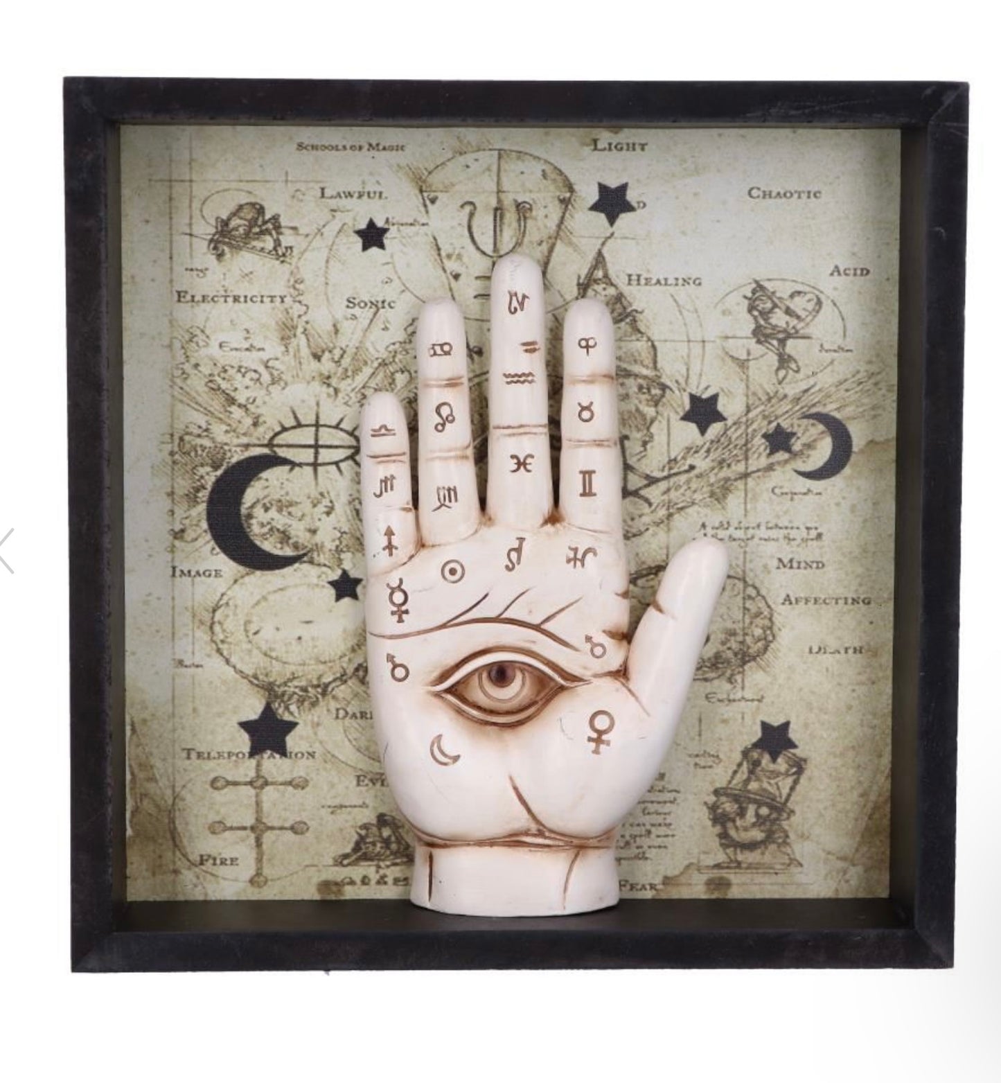 Palmistry Companion Framed Chiromancy Wall Mounted Art