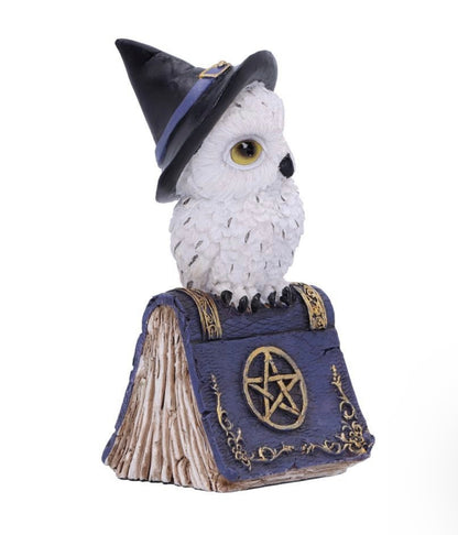 Avian owl  Spell book figurine   (Blue) 12.5cm