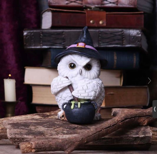 Owl Potion Figurine 17.5cm (large)