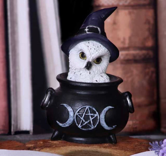 Owl's Brew Figurine 10cm