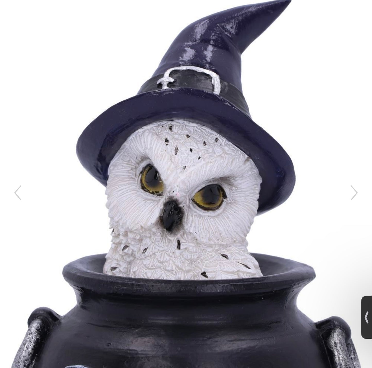 Owl's Brew Figurine 10cm