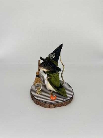 Taxidermy witch mouse diorama “prudence”