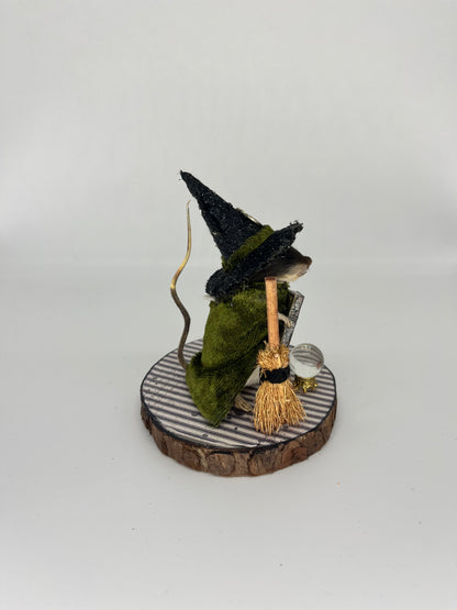 Taxidermy witch mouse diorama “prudence”