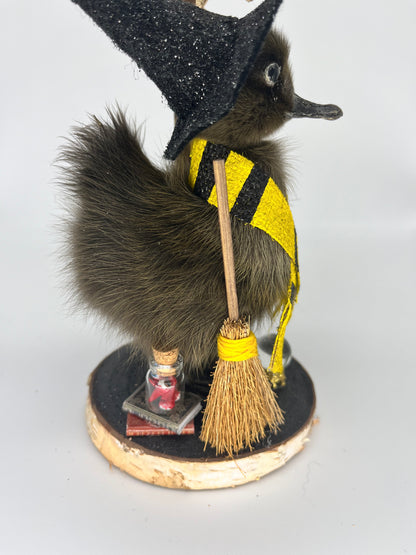 Taxidermy house duck