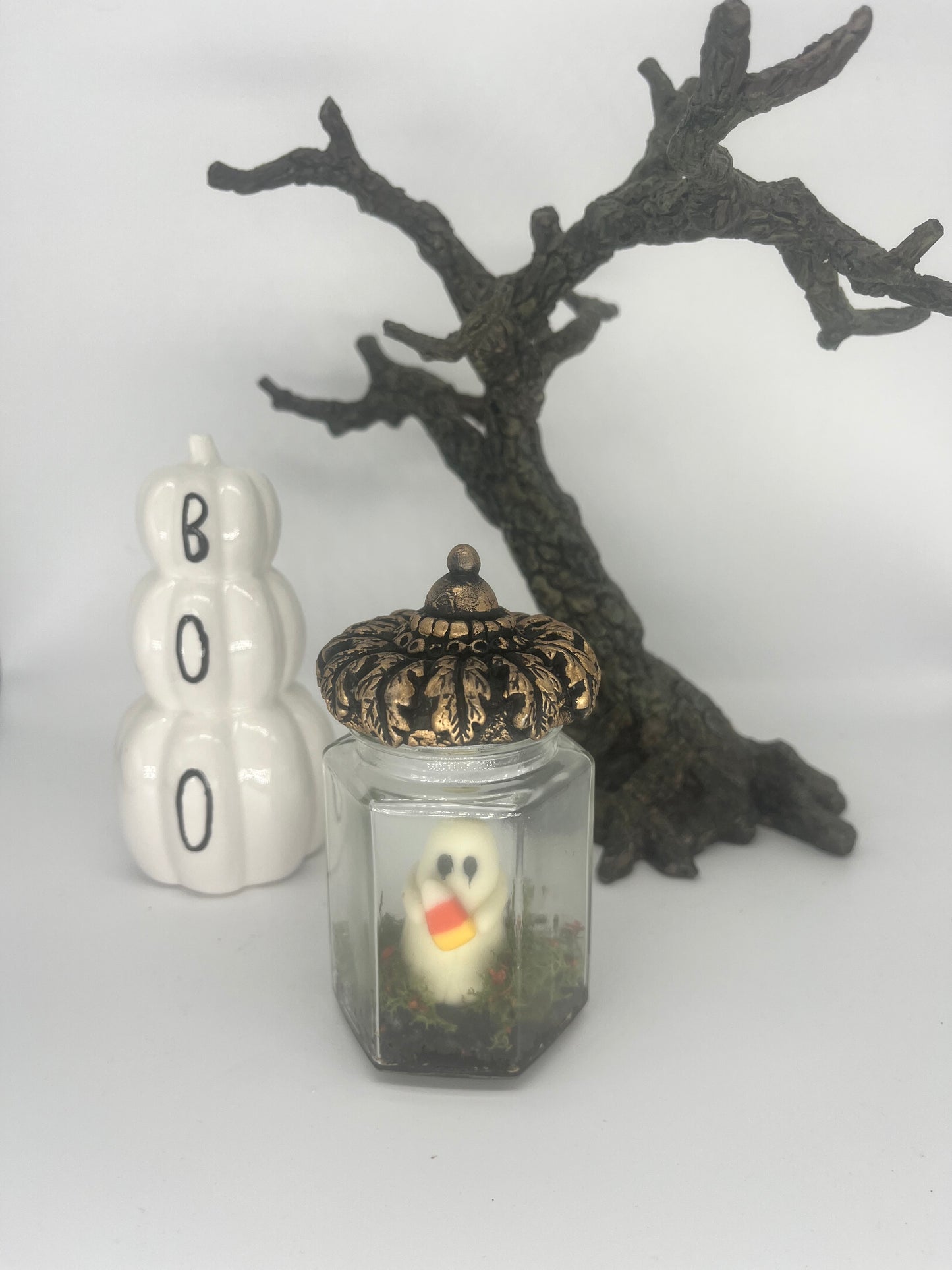 Pet ghost jars