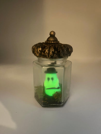 Pet ghost jars