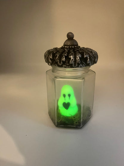 Pet ghost jars