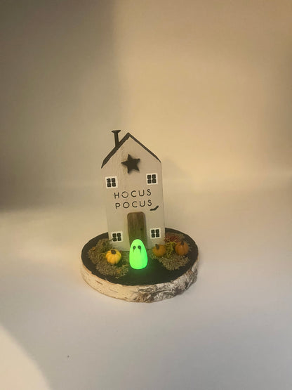 Hocus pocus sculpted glow in the dark pet ghost