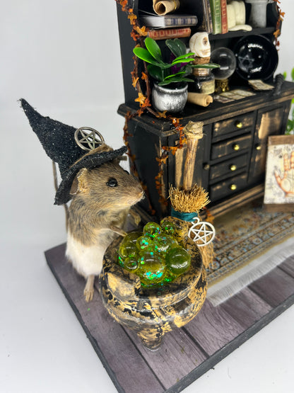 Taxidermy mouse the wizards home